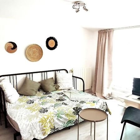 Studio Coquet Avec Vue Sainte-Foy-lès-Lyon Kültér fotó